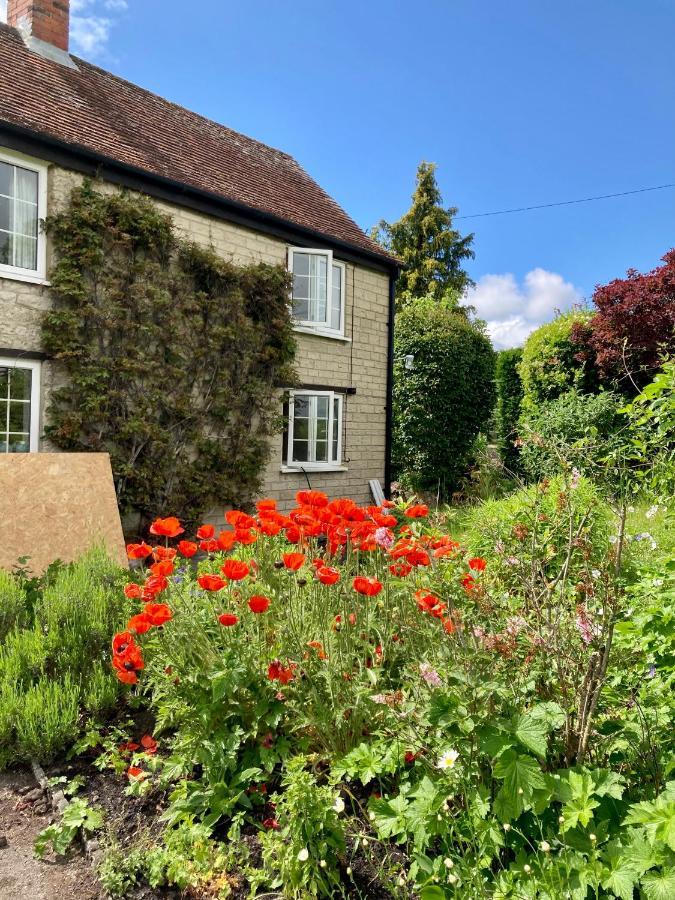 Charming Modernized Country Cottage Near Mere, Wiltshire Mere  Exteriér fotografie