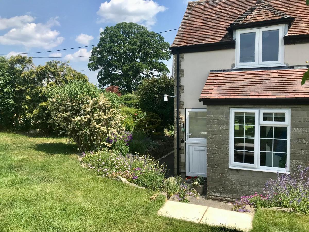 Charming Modernized Country Cottage Near Mere, Wiltshire Mere  Exteriér fotografie